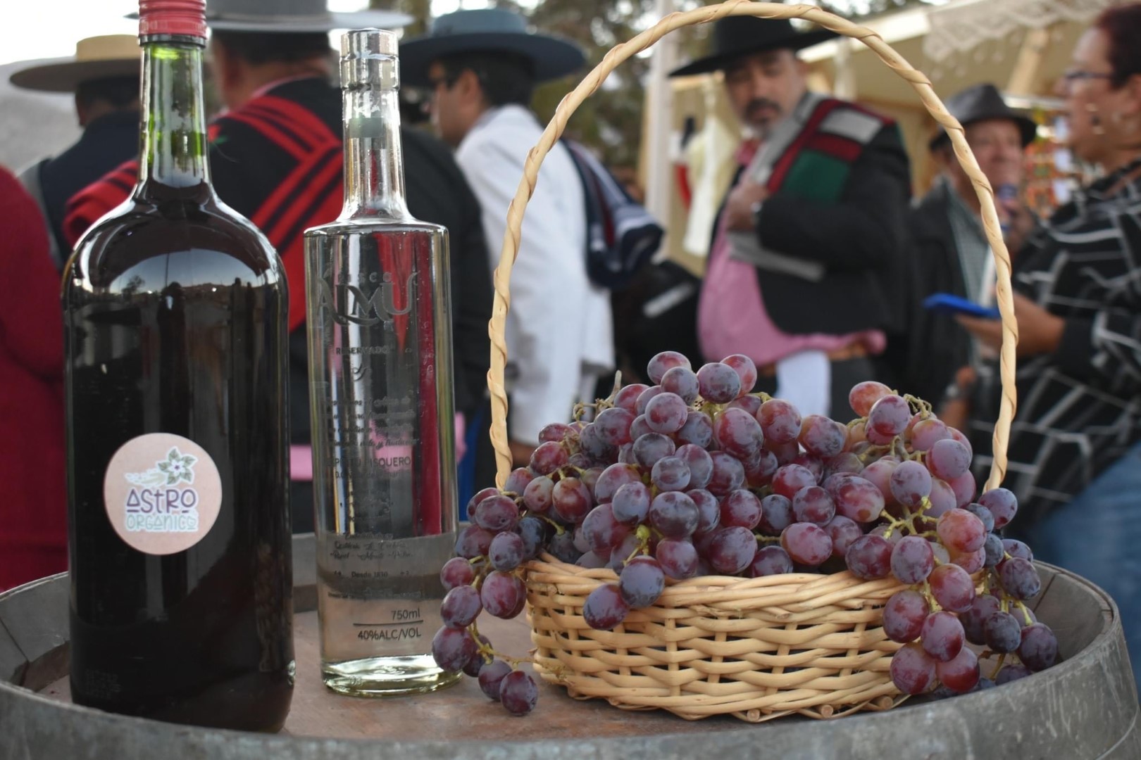 Río Hurtado celebró su Fiesta de la Vendimia en la localidad de Serón