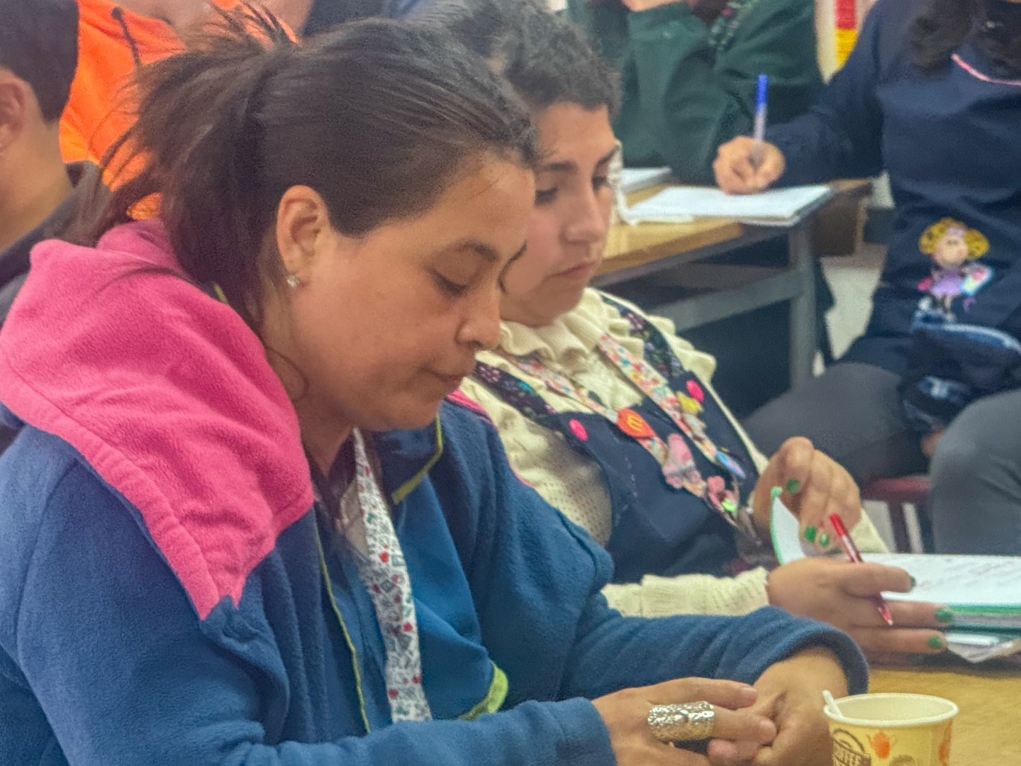 Establecimientos de la Región de Coquimbo se suman al hito nacional para fortalecer el desarrollo profesional docente