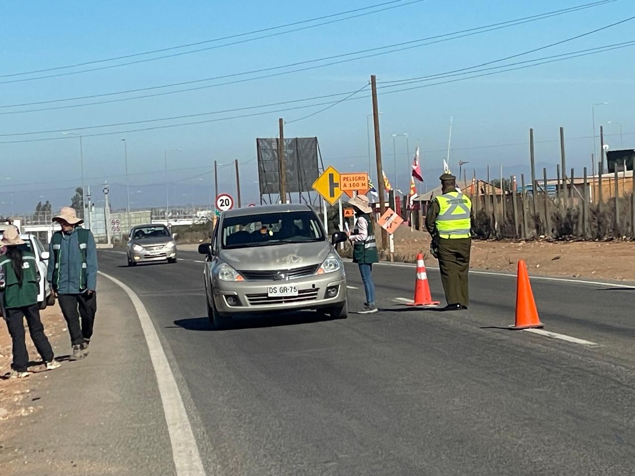 Más de tres toneladas de fruta ha interceptado el SAG en controles carreteros por mosca de la fruta en Limarí