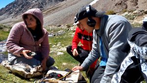 Hielos del Elqui una exposición que revela el vínculo entre arte, ciencia y territorio