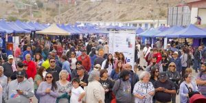 Fiesta del Loco 2026: La Región de Coquimbo se viste de fiesta este domingo en Caleta Hornos