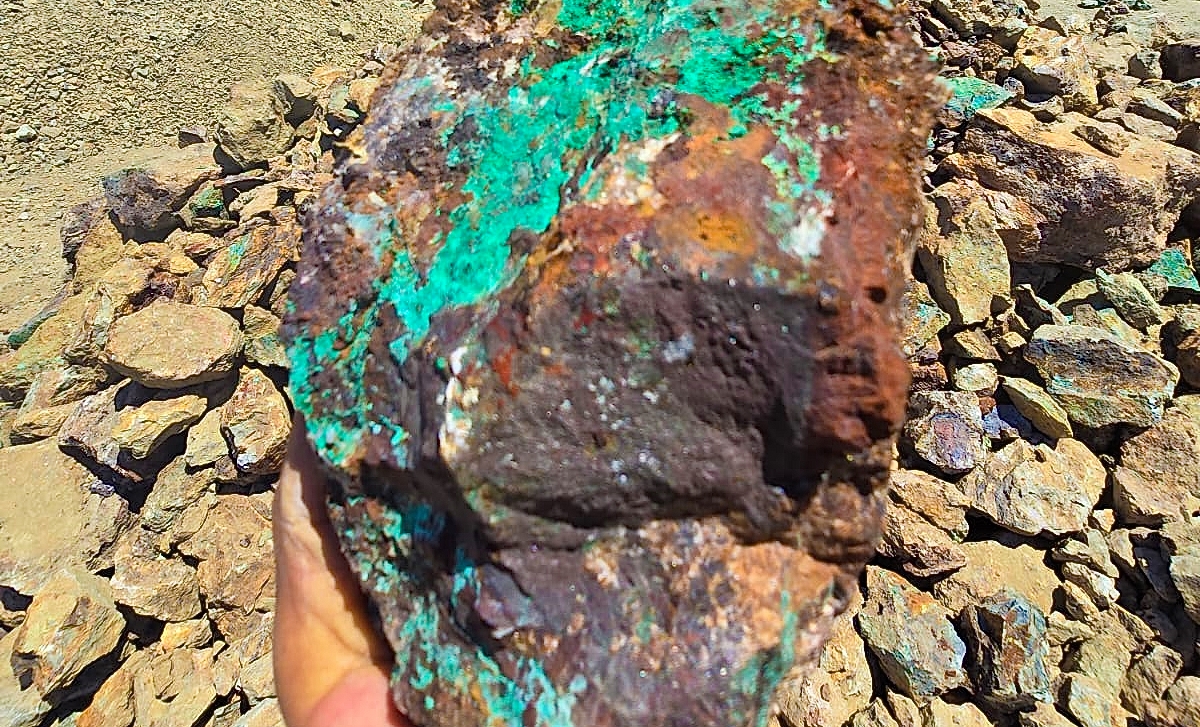 Latam Investment Group se asocia con mineros de Punitaqui para desarrollar concentrado de oro en Chile