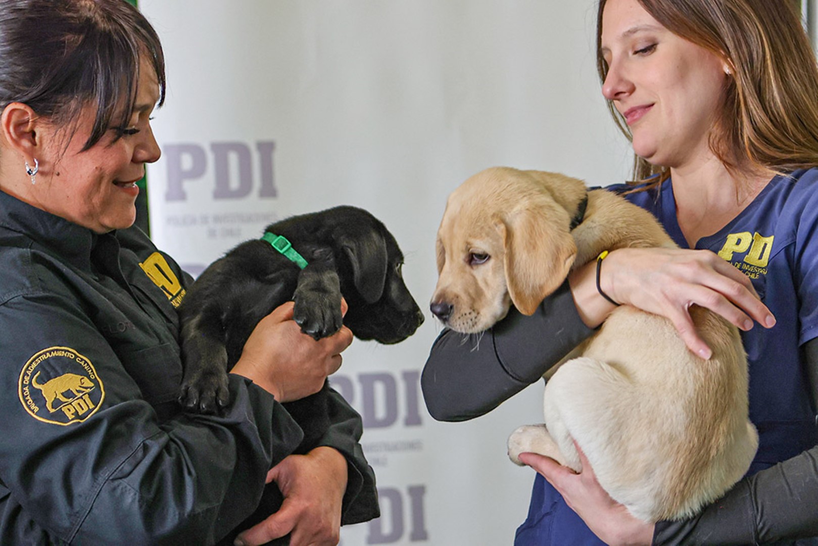 PDI invita a postular hasta el 20 de marzo para el cupo de Agentes Policiales en Chile