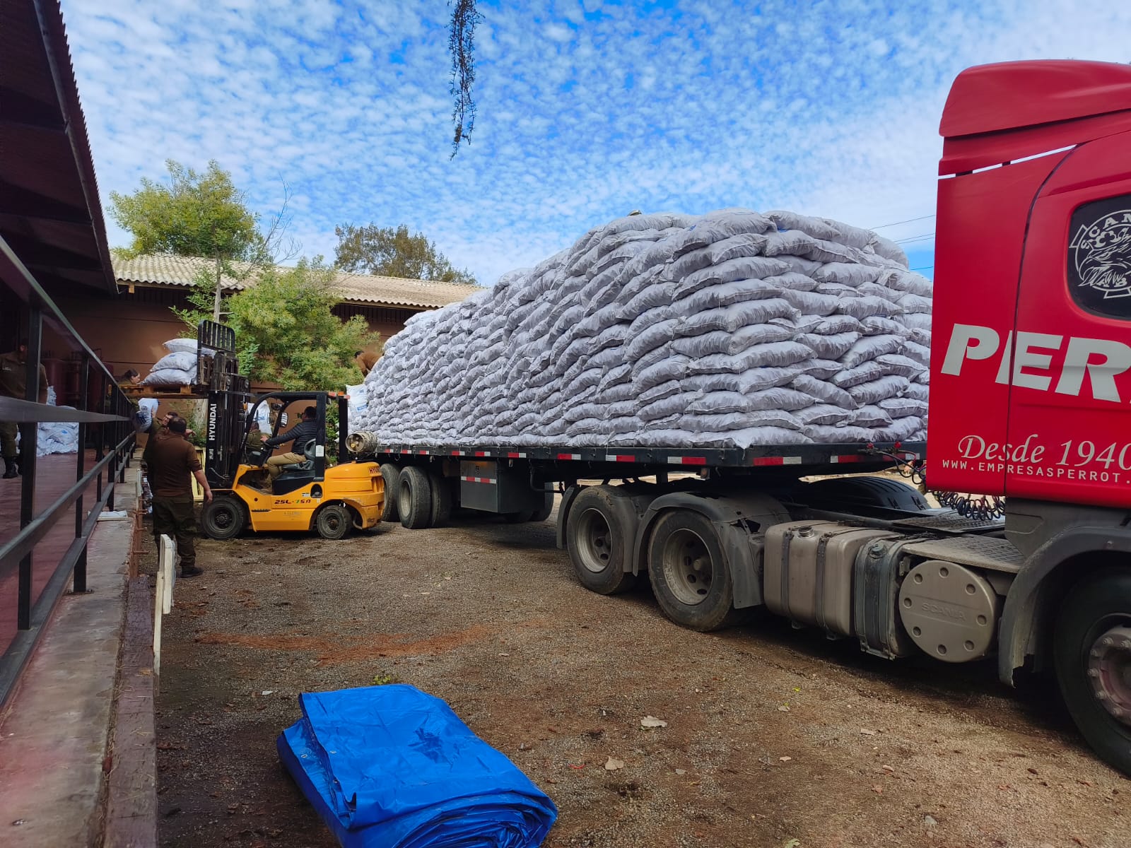 Más de 30 toneladas de alfalfa llegan a Limarí gracias a gestión de la SAN para apoyar a crianceros afectados por el sistema frontal