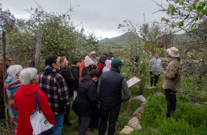 Agrupación Yerba Buena presenta calendario de actividades de “Senderos de Memoria y Naturaleza 2026” en La Higuera