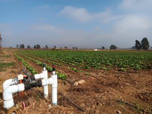 Pequeños agricultores del Norte Chico podrán postular a concurso de la Ley de Riego para proyectos no seleccionados