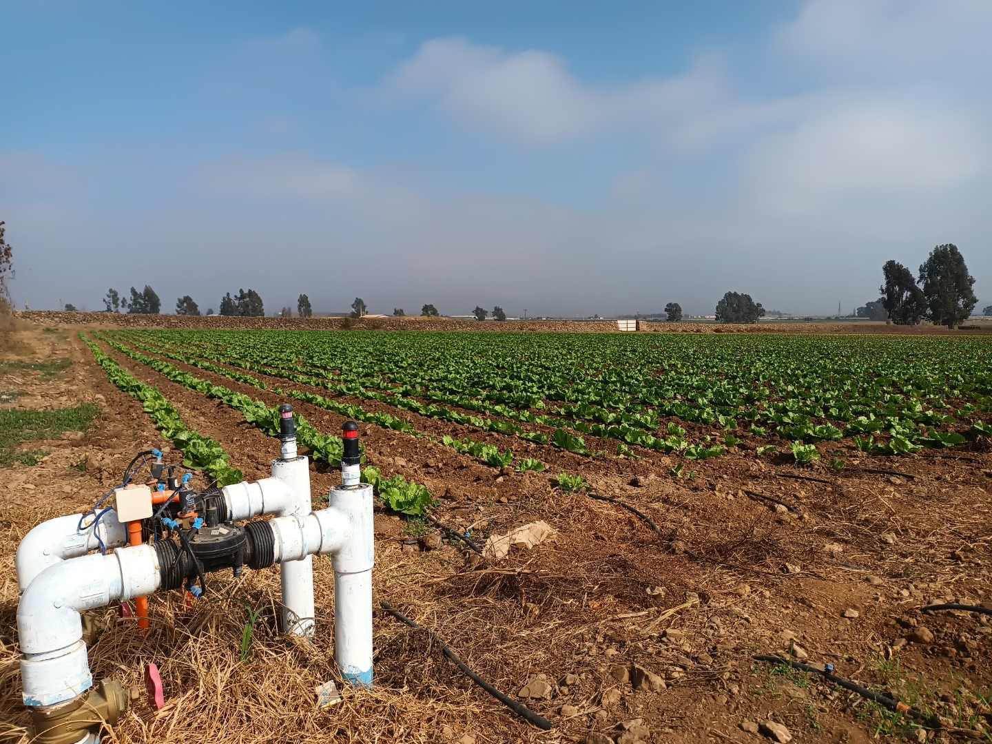 Pequeños agricultores del Norte Chico podrán postular a concurso de la Ley de Riego para proyectos no seleccionados