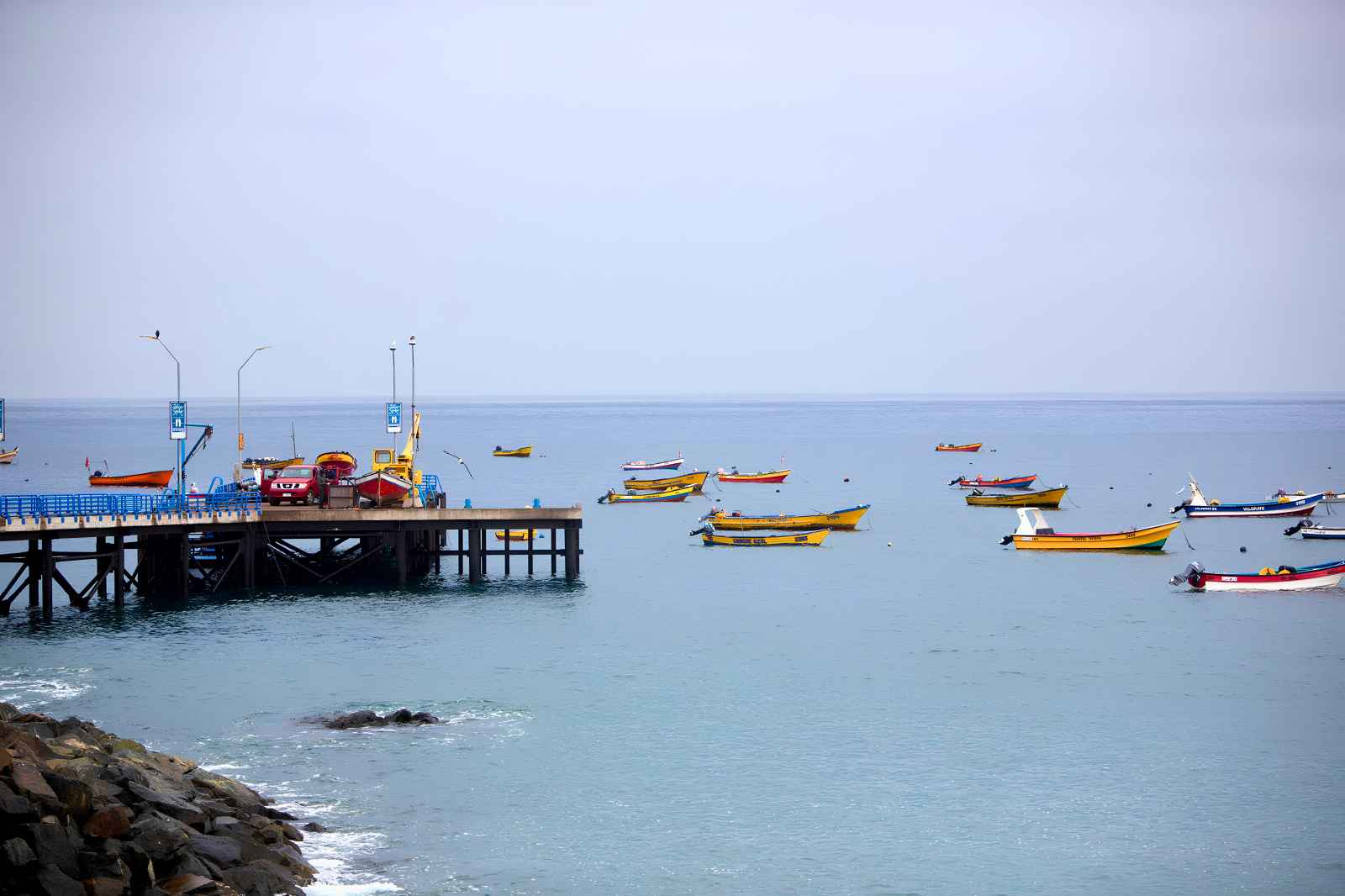 FAO y Seremi del Medio Ambiente lanzan curso virtual gratuito para proteger el ecosistema marino-costero de Coquimbo