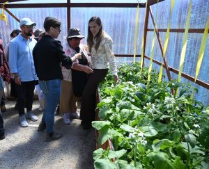 Inauguran primera huerta comunitaria para vecinos de El Olivar