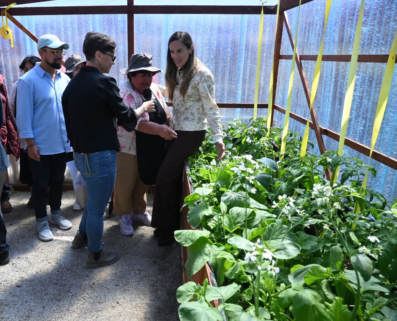 Inauguran primera huerta comunitaria para vecinos de El Olivar